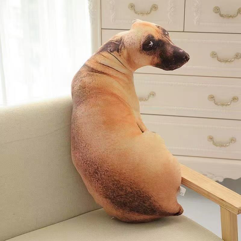 Cushion
